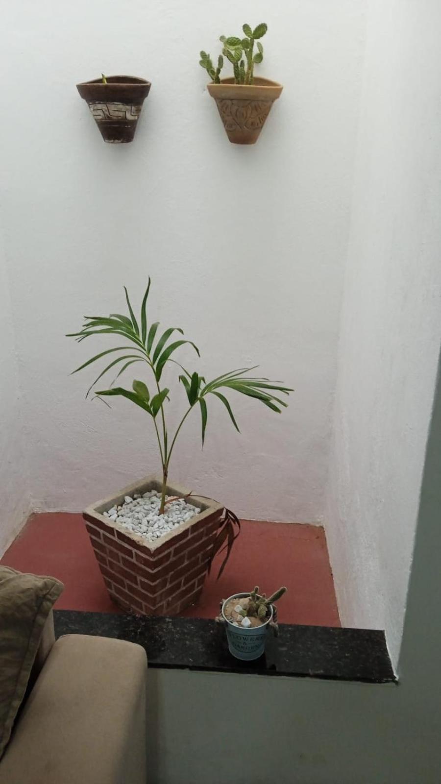 カモシン Casa Mdヴィラ エクステリア 写真